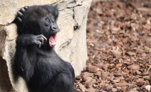 湖北十堰一小伙网上招嫖被骗，7次打款23300元后被拉黑