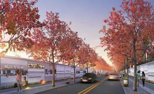 中以（上海）創(chuàng)新園將于3月底揭牌，周邊道路整治在同步進(jìn)行