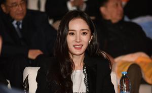 浙江东阳公布纳税大户名单，张艺兴、杨幂等明星工作室上榜