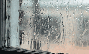 情人节要“泡汤”？上海今夜局地雨夹雪明日雨势减弱气温低迷