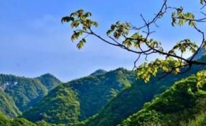 陕西出台《秦岭生态环境保护行动方案》，确保整治无死角