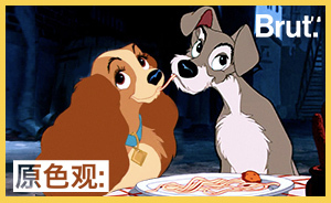 若能一見(jiàn)鐘情，情人節(jié)每天都過(guò)？