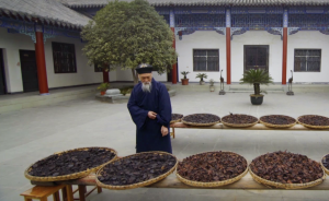 平和中滲透著匠心，老道人以炮制何首烏為修行