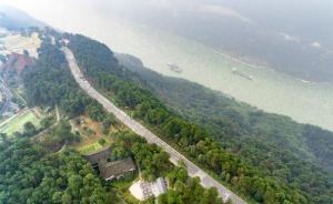 过去20年地球变得越来越“绿”，NASA点赞中国和印度