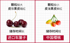 我们真的需要在意“车厘子自由”吗？