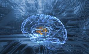 中國(guó)腦計(jì)劃專(zhuān)家探討神經(jīng)科學(xué)倫理問(wèn)題：隱私、大腦捐贈(zèng)、歧視