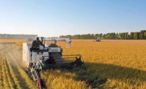 中辦國辦印發(fā)意見：實施互聯(lián)網(wǎng)+小農(nóng)戶計劃