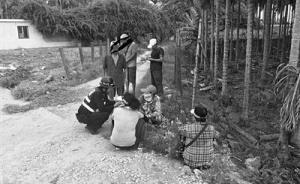 三亞6名“候鳥”老人結(jié)伙偷110公斤芒果，分別被拘13日