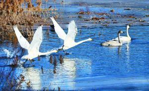 北京城區(qū)將首設(shè)動(dòng)植物保育區(qū)，嚴(yán)格限制人類(lèi)活動(dòng)