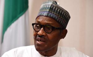 布哈里成功連任尼日利亞總統(tǒng)