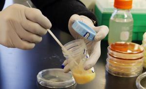 耶鲁华裔学者下水道取病毒“攻毒”， 解决细菌耐药性 