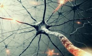 石墨烯—碳納米管支架可模擬腦神經(jīng)網(wǎng)絡(luò)，未來將治療腦部疾病