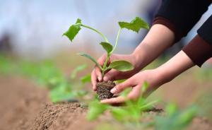 我國(guó)將重點(diǎn)加強(qiáng)“四支隊(duì)伍”建設(shè)助力農(nóng)業(yè)農(nóng)村現(xiàn)代化 