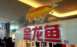 金龍魚接受上市輔導：中信建投派出輔導小組，6人為保薦人
