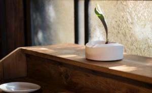 獨家探訪日本最美器物店，一年24場展覽場場轟動