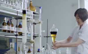 “瘧疾克星”青蒿素，中醫(yī)藥給世界的一份禮物