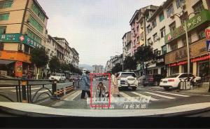 暖聞｜司機斑馬線前禮讓行人獲孩子鞠躬：心里特別溫暖