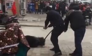 宿州一小学门口一条狗咬伤一老人和一学生，被民警开枪击毙