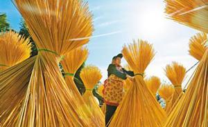 走過代表委員通道，他們——通民情道民聲