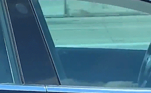 时速120公里,特斯拉司机高速路上睡大觉