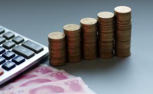 專訪｜楊偉民解讀政府工作報告：地方政府專項債不是財政刺激