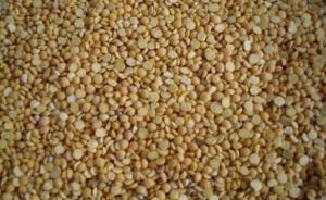 海關(guān)總署發(fā)布警示通報：加強對進口加拿大油菜籽檢疫