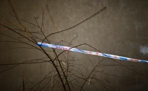 陜西清澗通報(bào)：一男子錘殺3人后服毒自殺，另一男尸并案調(diào)查