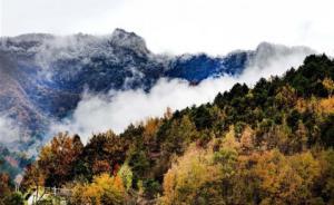 陕西开展打击整治破坏秦岭野生动物资源违法犯罪专项行动