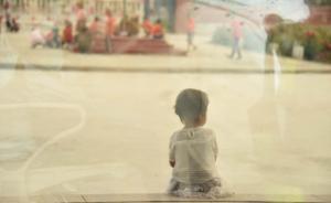 陽光下的花兒 | 湃客年度視覺大賽