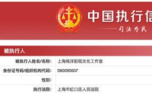 新文化起訴，楊洋工作室被列為被執(zhí)行人：已申請執(zhí)行異議