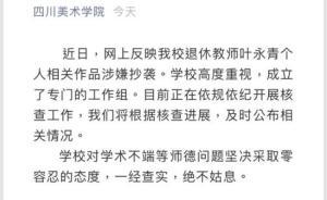 葉永青被指抄襲9天后，四川美院低調(diào)發(fā)聲稱開(kāi)展“核查”
