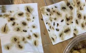 顾客称吃外卖挑出40只蟑螂，商家停业