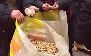 七部門聯(lián)合，圍繞種子、農(nóng)藥、肥料等重點品種嚴厲打假