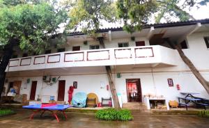 古樹穿樓成風景，建房時已考慮“讓道”