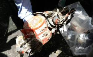 埃航失事客機兩個黑匣子均已尋獲，包括駕駛艙語音和飛行數(shù)據(jù)