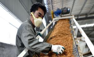 趙皖平代表：每年產(chǎn)生9億噸農(nóng)林廢棄物，可用于替代化石資源