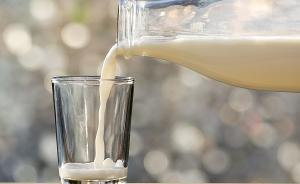 喝生鮮奶更健康？小心布魯氏菌要你病