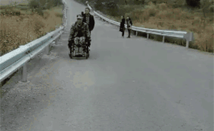 有德和妮娜的故事：養(yǎng)一只小狗可以貼心到什么程度？