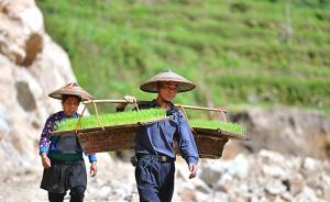 兩部門：整合貧困縣涉農(nóng)資金，徹底放權(quán)到位