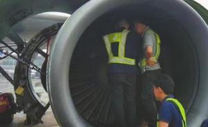 朝發(fā)動(dòng)機(jī)扔硬幣致航班取消，乘客“求平安”闖禍賠了5萬(wàn)多元