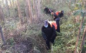 广东一男子登山后生火煮面引燃山林，判赔471万元获刑二年