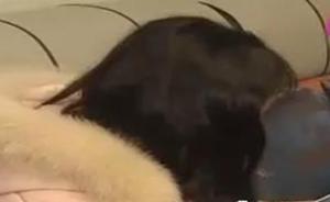 女子兼職刷單被騙20萬(wàn)，京東：騙子避過(guò)了官方，無(wú)法追蹤