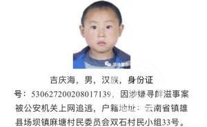 云南鎮(zhèn)雄警方回應(yīng)“用童年照追逃”：嫌疑人一直外逃，無近照