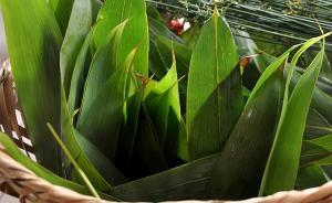 浙江七旬男子賣野粽葉分期還債，清貧債權(quán)人減免其大半債務(wù)