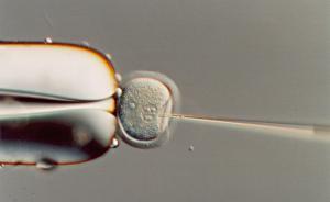 世卫将制定人类基因编辑国际治理框架，应对伦理和医学风险