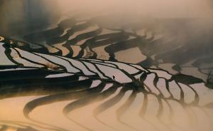 鄉(xiāng)土｜哈尼梯田：孕育的不僅是水稻，還有脫貧致富的希望