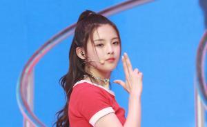 Z博士的脑洞｜杨超越与“分化”困境