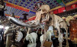 直擊｜毀林私建的牡丹江曹園：內(nèi)有亭臺(tái)樓閣和多種動(dòng)物標(biāo)本