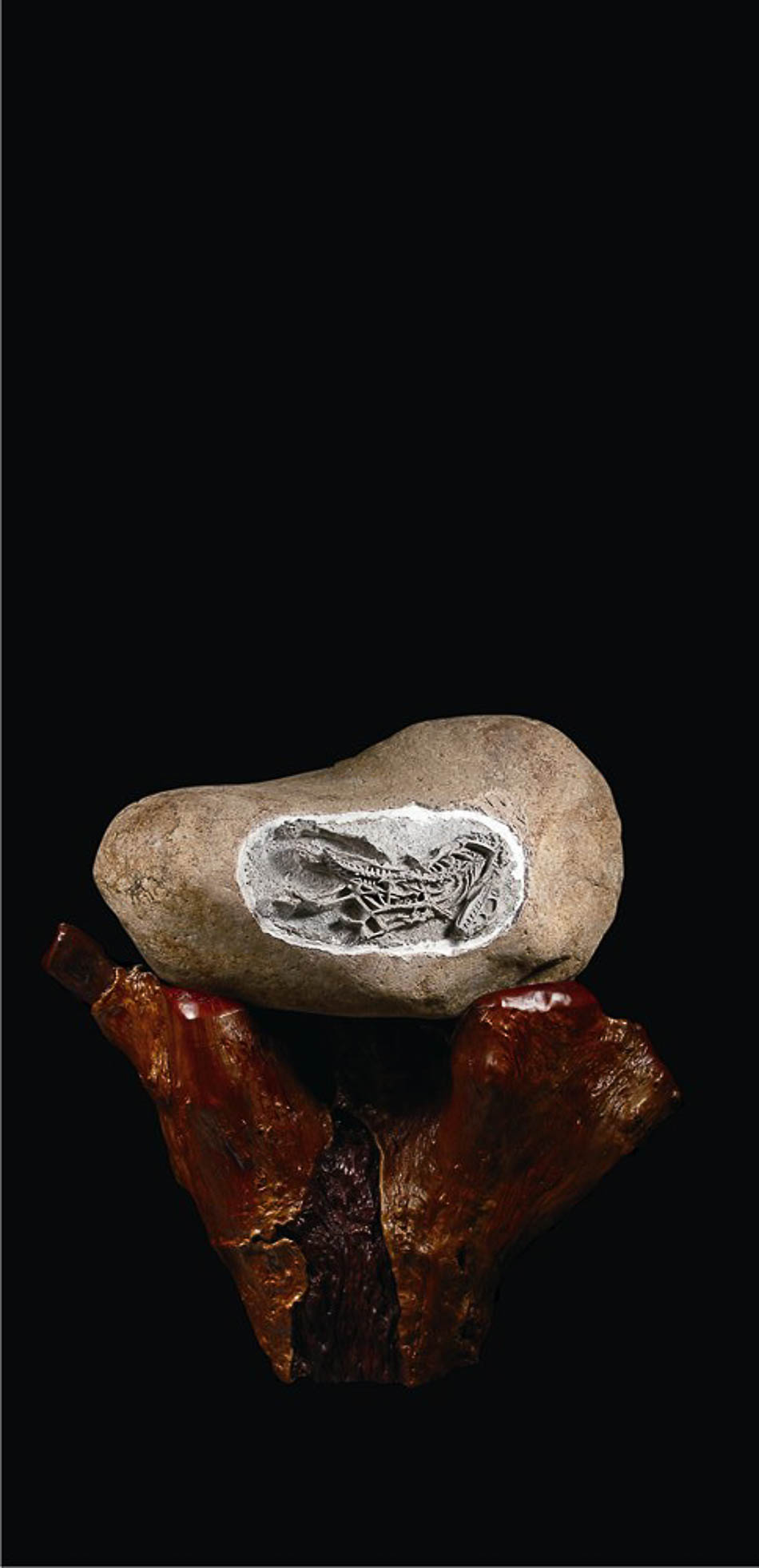 07楊氏東方翼龍