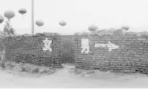 羅永進(jìn)：用個(gè)人符號(hào)化手法來(lái)展示眼前所見(jiàn)